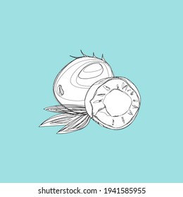 Fruits, exotic fruits, vegetarian - minimal thin line web icon set. Included the simple vector icons as mango, durian, rambutan, guava, tamarind, jackfruit. Outline icons collection.