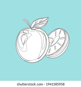 Fruits, exotic fruits, vegetarian - minimal thin line web icon set. Included the simple vector icons as mango, durian, rambutan, guava, tamarind, jackfruit. Outline icons collection.