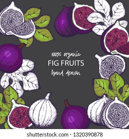 Fruits of Fig tree ,whole and part, with leaves isolated on white  background.Vector design with hand drawn figs sketch.