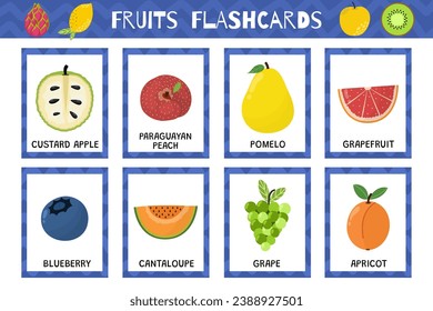 Fruits flashcards collection. Healthy food flash cards set for school and preschool. Blueberry, cantaloupe, grape and more. Vector illustration