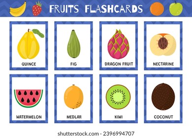 Fruits flashcards collection. Healthy food flash cards set for school and preschool. Dragon fruit, kiwi, coconut and more. Vector illustration