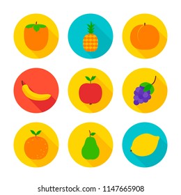 Fruits flat circle icons. Vector illustration of fresh healthy food objects.