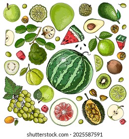 Fruits food vector. Color sketch of products. Decor for kitchen and restaurant. Farm fruits and berries. 