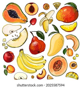 Fruits food vector. Color sketch of products. Decor for kitchen and restaurant. Farm fruits and berries. 