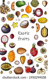 Fruits food vector poster. Color sketch of products. Decor for kitchen and restaurant. Farm fruits and berries. Watermelon, banana, pineapple, apple, pear