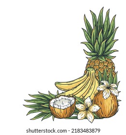 Fruits frame. Summer tropical banana, coconut and pineapple with palm twigs design corner