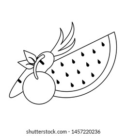 fruits fresh delicious healthy isolated cartoon vector illustration graphic design