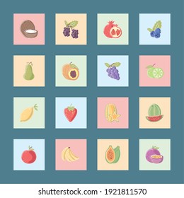 fruits fresh food nutrition icons set coconut grapes apple pear banana vector illustration