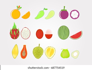 Fruits with fruit pulp on gradient grey background, Healthy food for body, Icon vector design.