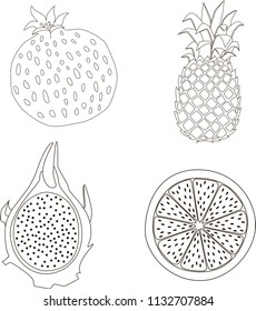 Fruits: garnet, pineaple, gragon fruit, orange - outline drawing on the white background