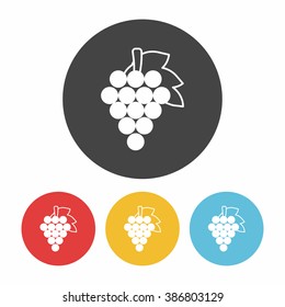 fruits grape icon