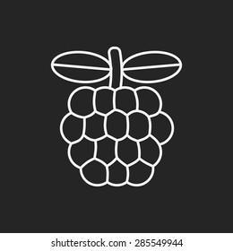 fruits grape line icon