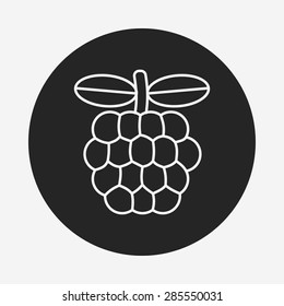 fruits grape line icon