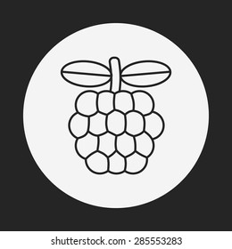 fruits grape line icon