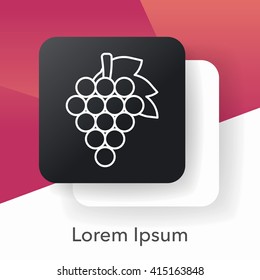fruits grapes line icon