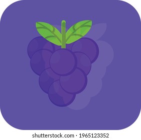 fruits, grapes. vector image in green and purple color. purple background.