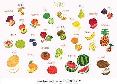 fruits graphic vector color set