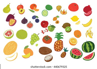 fruits graphic vector color set
