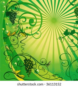 Fruits. Green grapes. Autumn grapevine vector floral background template.