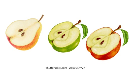 fruits half slice set green apple pear red quince seeds realistic botanical watercolor illustration juicy isolated on white hand drawn, tropical food exotic red color for food label design.