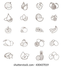 Fruits hand drawn illustration