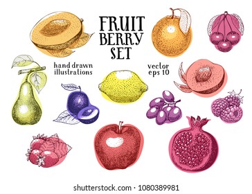 Fruits hand drawn vector illustration set. Retro engraved style illustrations. Can be use for menu, label, packaging, farm market products.