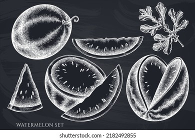 Fruits hand drawn vector illustrations collection. Chalk watermelon.