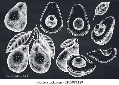 Colección de ilustraciones vectoriales dibujadas a mano de frutas. Alk aguacate.