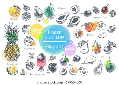 Fruits - hand drawn vector set. Sketches of tropical fruits from O to P for design of juice packages & smoothie recipes. 4 of 5 parts