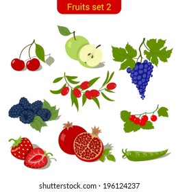 Fruits high detail vector icon set. C?herry, apple, grape, blueberry, dogwood, strawberry, pomegranate, peas, cranberries.  Food collection.