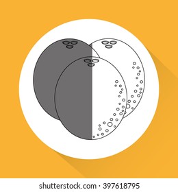Fruits icon design, Vector illustration