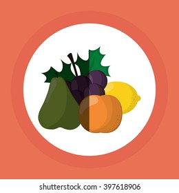 Fruits icon design, Vector illustration