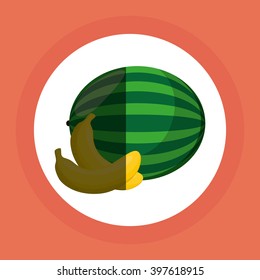 Fruits icon design, Vector illustration