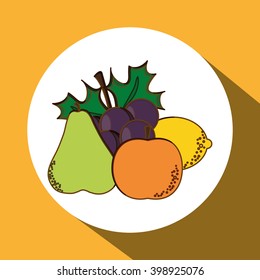Fruits icon design, vector illustration