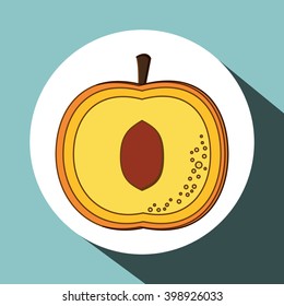 Fruits icon design, vector illustration