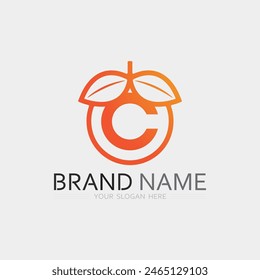 Fruits Icon und Fruit Logo Design Frische Früchte Tropische Natur Nahrungsmittel Vektorillustration