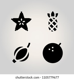 Fruits icon set. berry, macro, circle and raw illustration vector icons for web and design