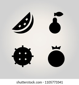 Fruits icon set. berry, object, watermelon and red illustration vector icons for web and design