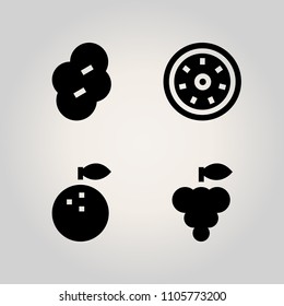 Fruits icon set. composition, half, bush and dry illustration vector icons for web and design