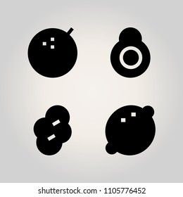 Fruits icon set. cut, portion, round and segment illustration vector icons for web and design