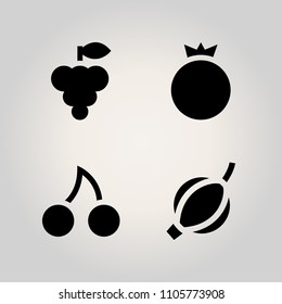 Fruits icon set. freshness, floral, tropical and agriculture illustration vector icons for web and design