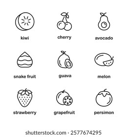 Fruits icon set. Kiwi, cherry, avocado, melon, guava, snake fruit, strawberry, grapefruit, Persimmon. Fruits line icon