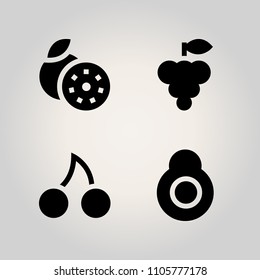Fruits icon set. macro, single, blossom and stem illustration vector icons for web and design