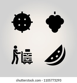 Fruits icon set. piece, add, melon and nobody illustration vector icons for web and design
