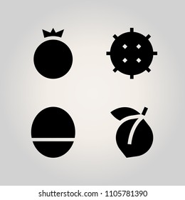 Fruits icon set. pomegranate, segment, cutout and element illustration vector icons for web and design