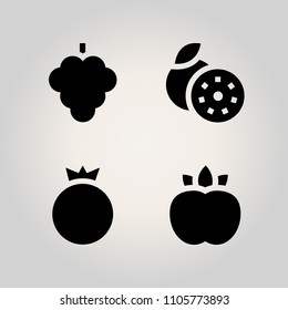 Fruits icon set. red berry, top view, isolated and antioxidant illustration vector icons for web and design