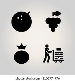 Fruits icon set. summer, segment, lime isolated and whole illustration vector icons for web and design