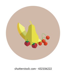 Fruits icon.Flat vector icon