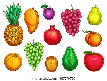 Fruits icons apple, apricot or pear and peach, tropical avocado or mango and exotic pineapple, garnet or pomegranate and kiwi, orange or tangerine citrus. Vector isolated farm and garden fruit harvest