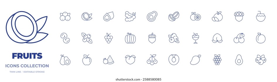 Fruits icons collection. Thin Line icons, editable stroke. acai, acorn, apple, apricot, avocado, berries, blueberry, cashew, cherries, cherry, coconut, fruit.